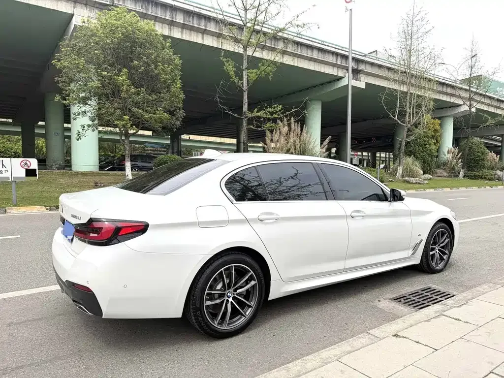 BMW 5 Series 2022 из CN, фото 4