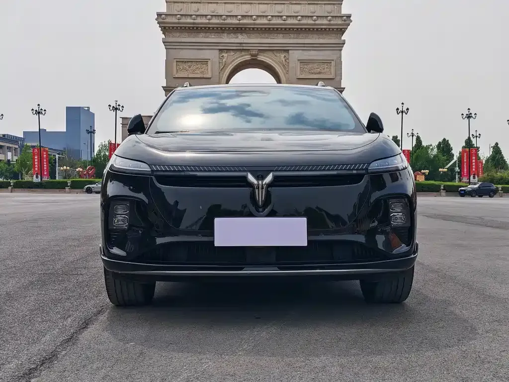 VOYAH Zhiyin 2025 из CN, фото 6