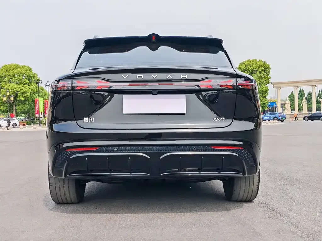 VOYAH Zhiyin 2025 из CN, фото 3