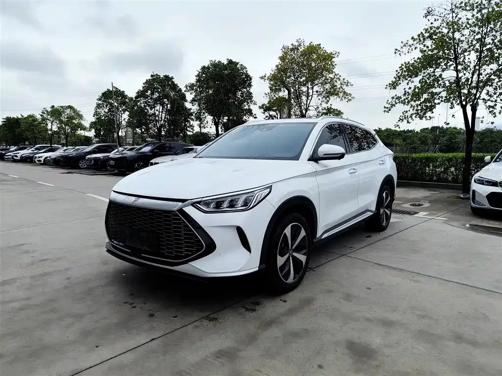 BYD PLUS New Energy — фото 1