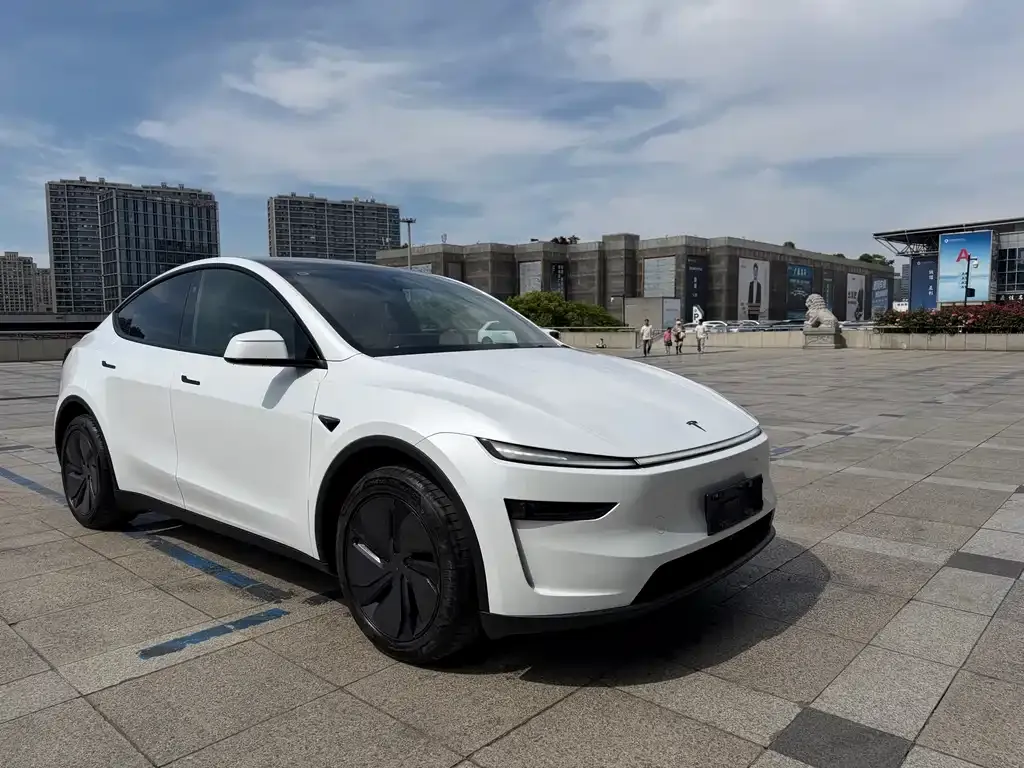 Tesla Model Y — фото 2
