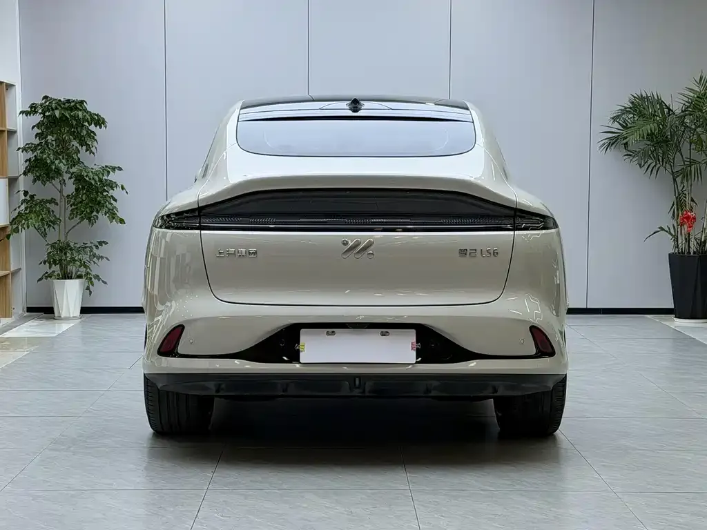 IM LS6 2024 из CN, фото 4