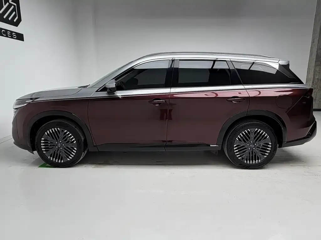 Nissan Teramont 2024 из CN, фото 6