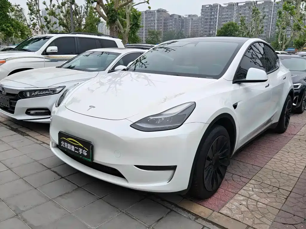 Tesla Model Y — фото 1