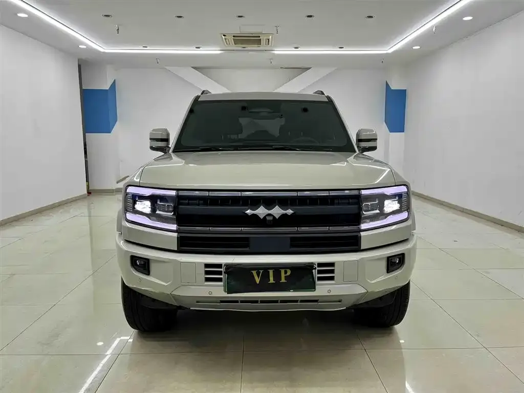 Fang Cheng Bao Leopard 5 2025 из CN, фото 4