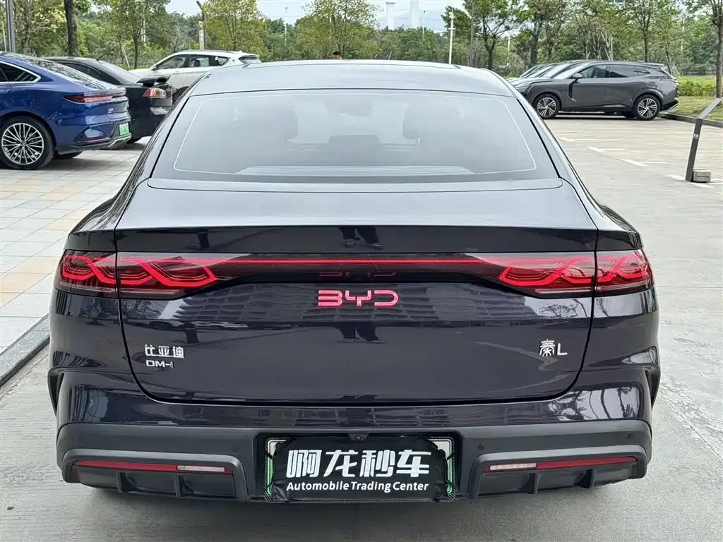 BYD Qin L 2024 из CN, фото 8