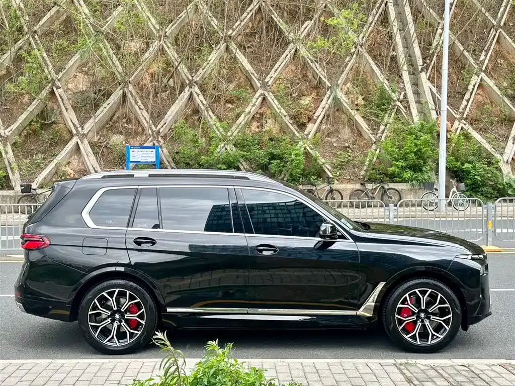 BMW X7 — фото 8