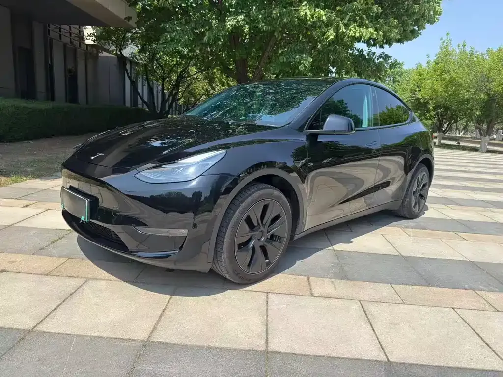 Tesla Model Y — фото 1