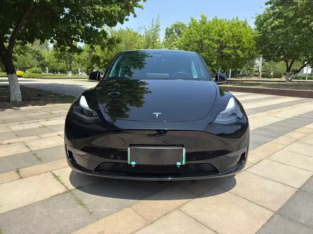 Tesla Model Y — фото 9