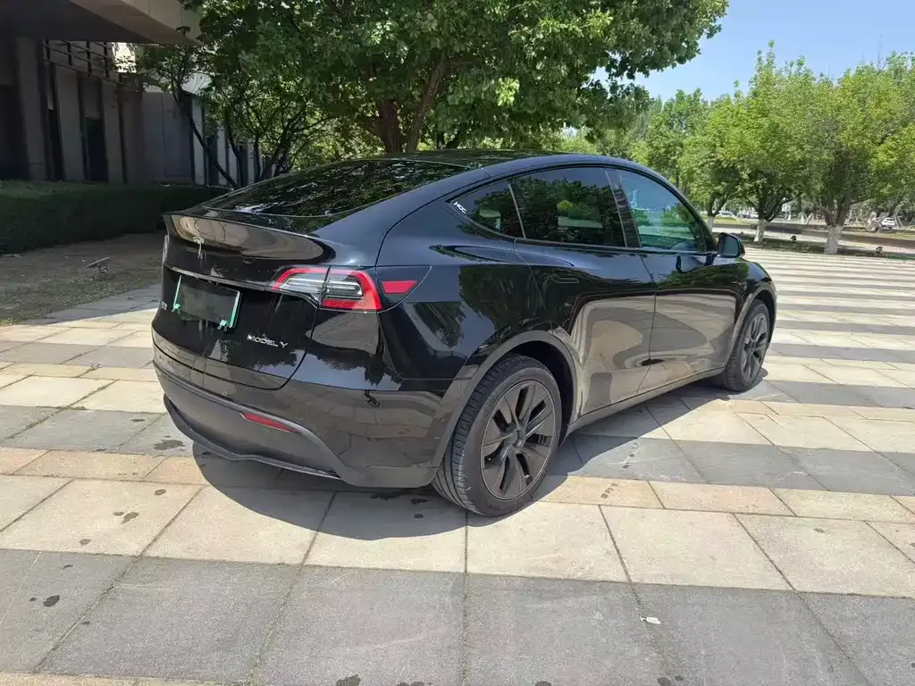 Tesla Model Y — фото 10