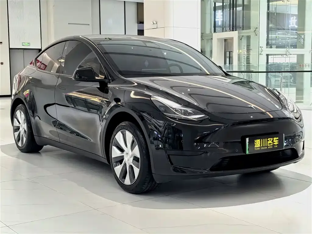 Tesla Model Y — фото 8