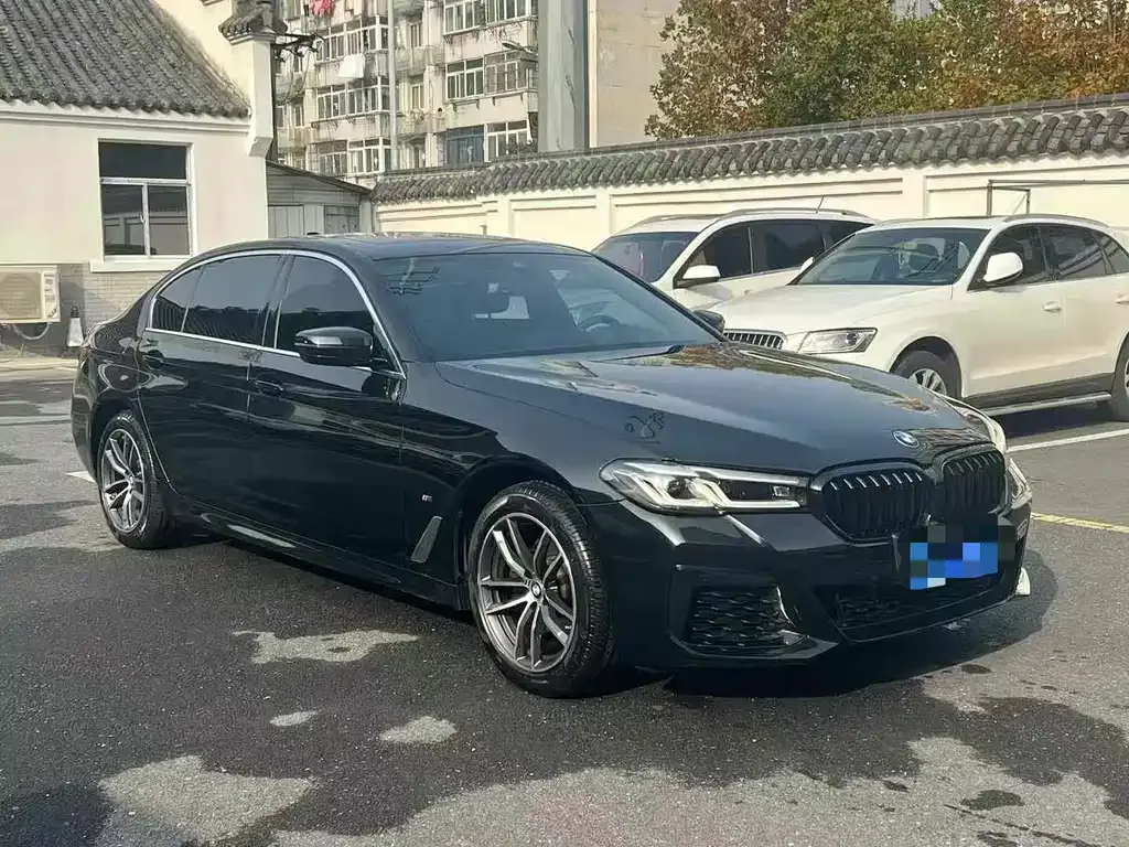 BMW 5 Series 2022 из CN, фото 7