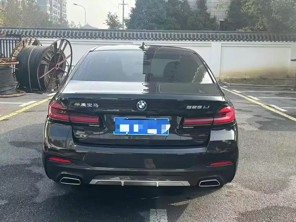 BMW 5 Series 2022 из CN, фото 8