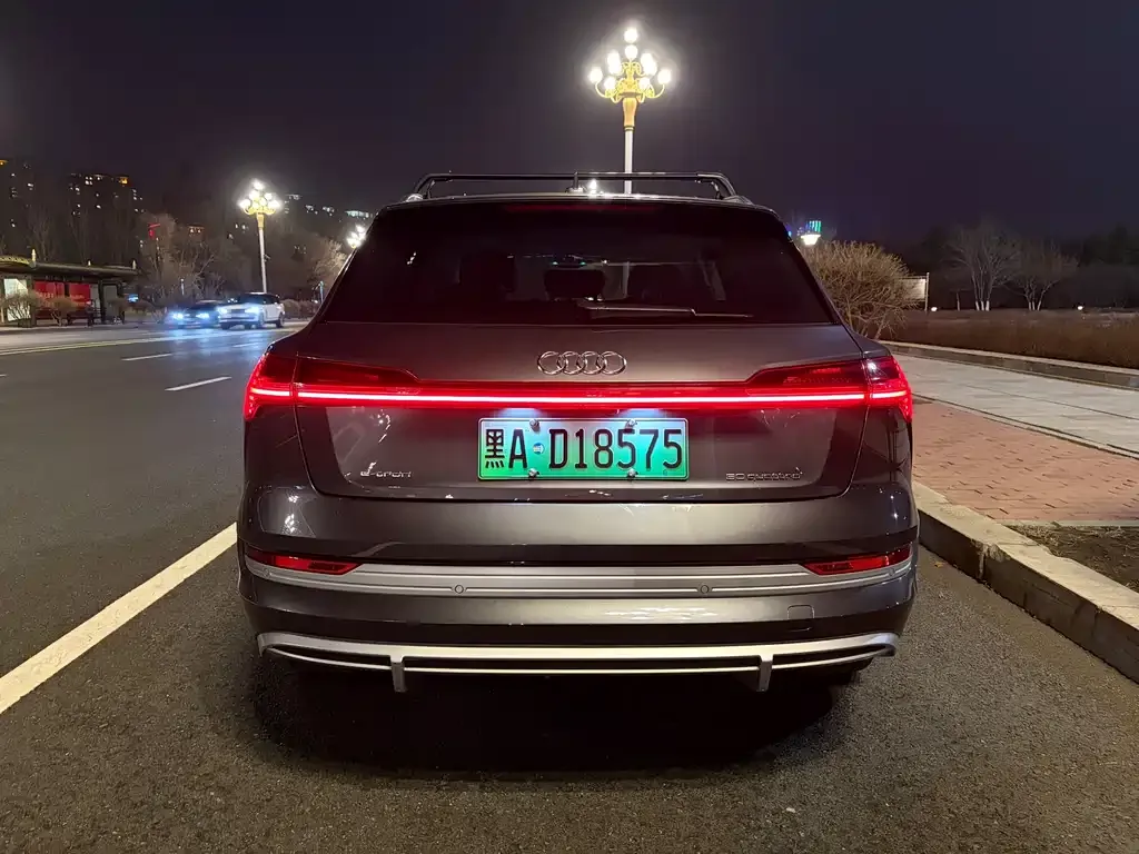 Audi e-tron 2022 из CN, фото 5
