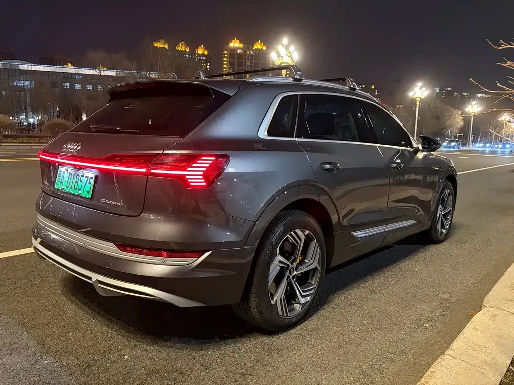 Audi e-tron 2022 из CN, фото 9