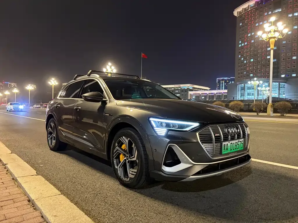 Audi e-tron 2022 из CN, фото 4