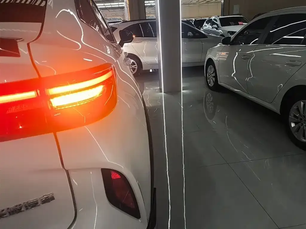 Haval H6S 2022 из CN, фото 5