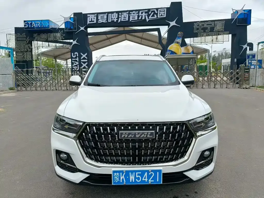 Haval H6 2025 из CN, фото 10