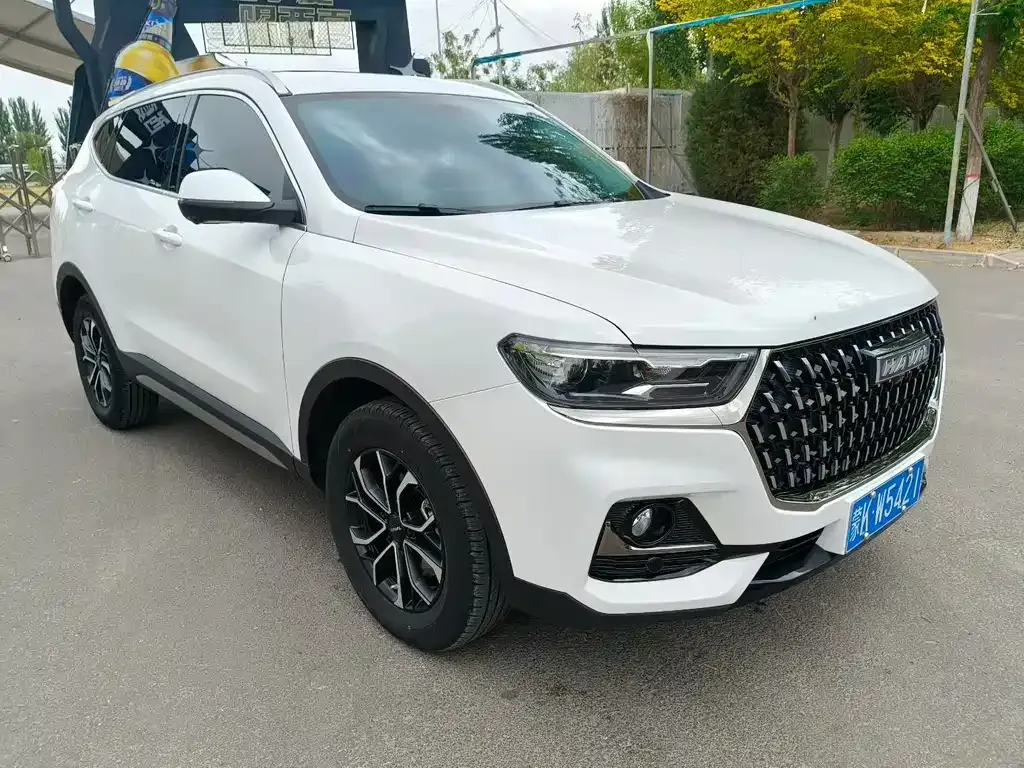 Haval H6 2025 из CN, фото 5