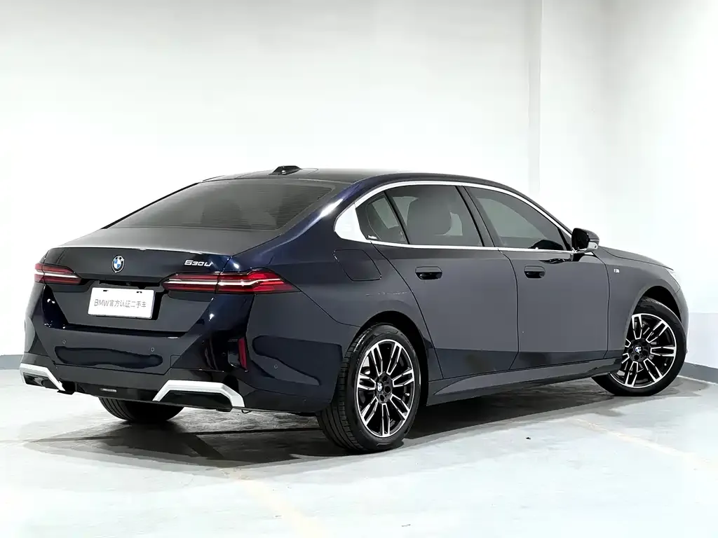 BMW 5 Series 2024 из CN, фото 6