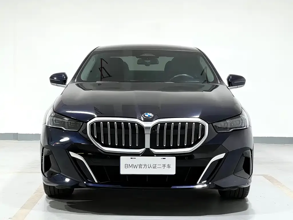 BMW 5 Series 2024 из CN, фото 8