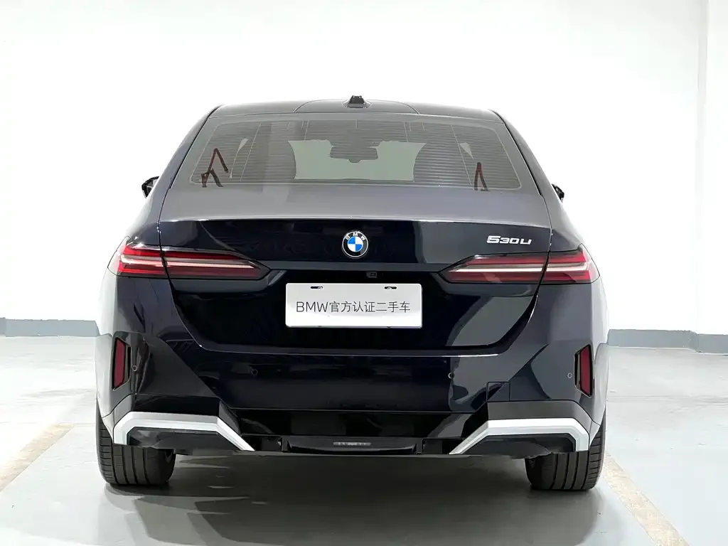 BMW 5 Series 2024 из CN, фото 7