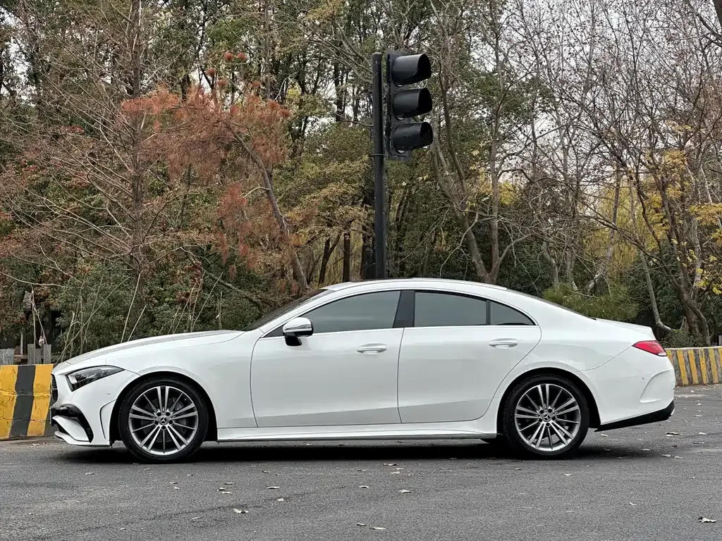 Mercedes-Benz CLS — фото 9