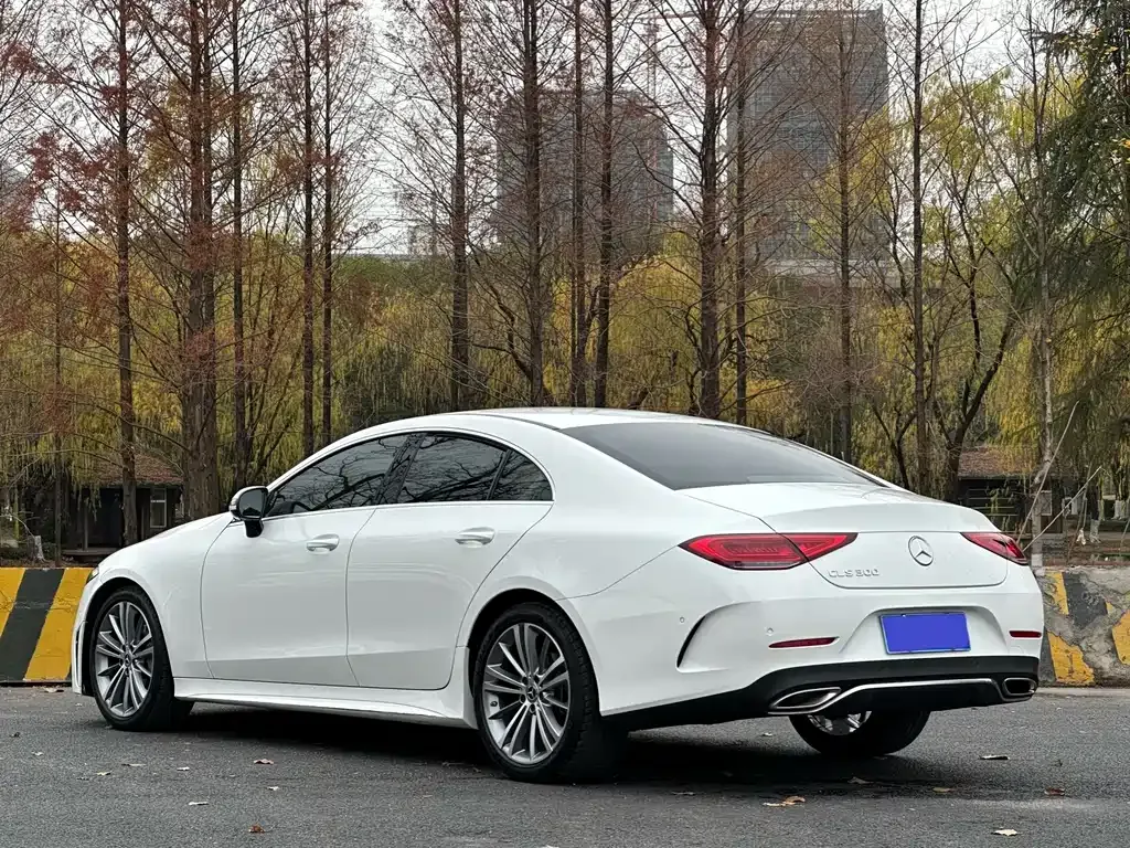 Mercedes-Benz CLS — фото 8