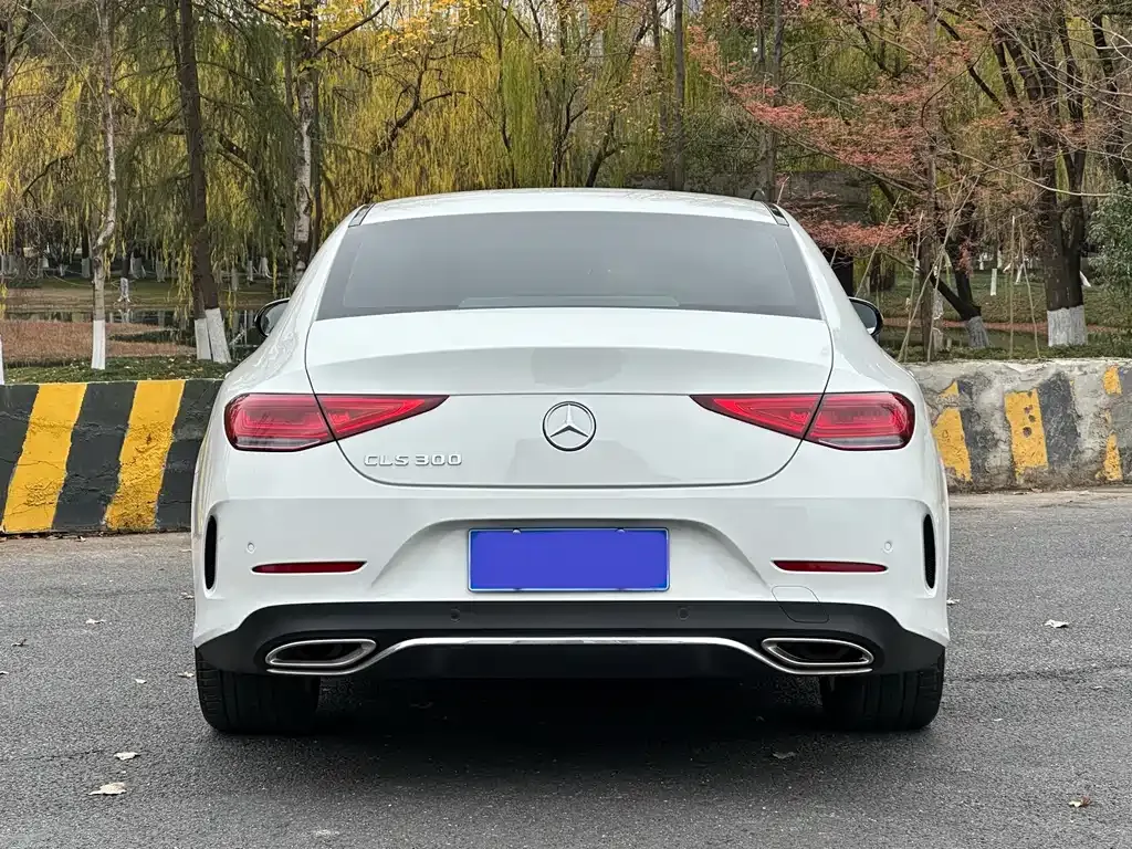 Mercedes-Benz CLS — фото 7