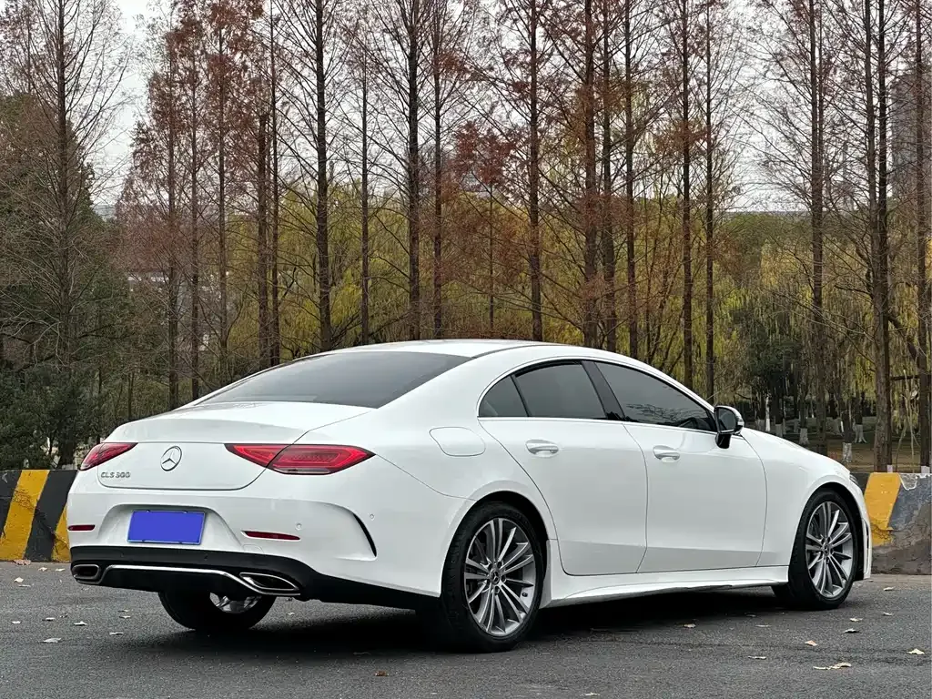 Mercedes-Benz CLS — фото 6