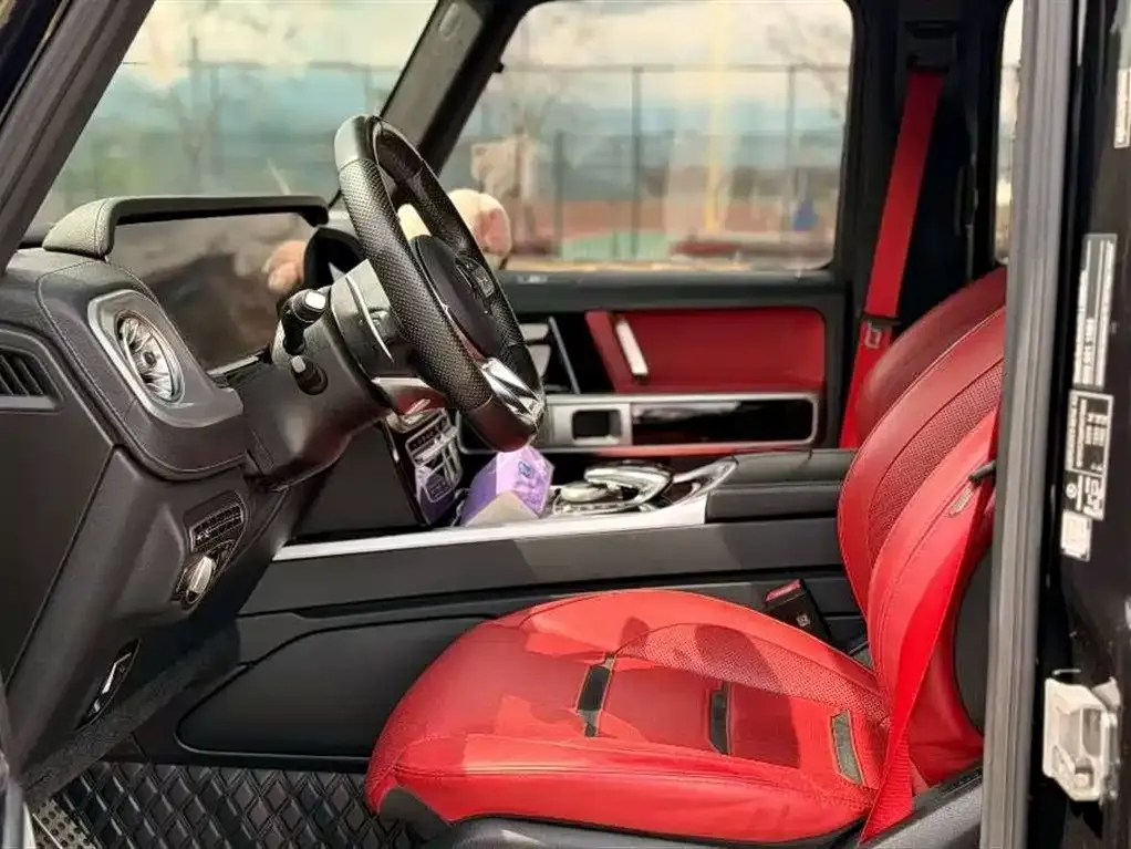 Mercedes-Benz G-Class AMG — фото 10