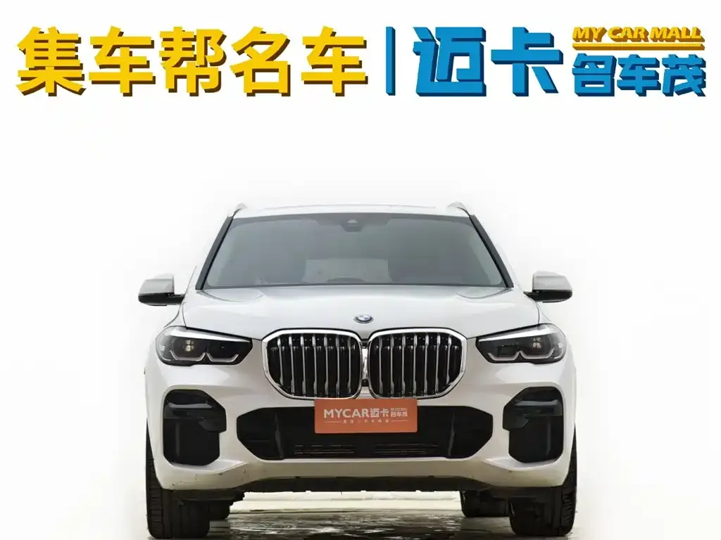 BMW X5 (Import) — фото 6