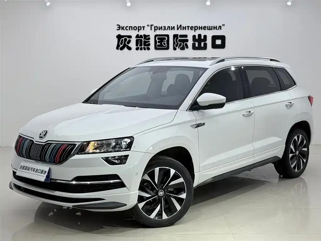 Skoda Karoq 2023 из CN, фото 1