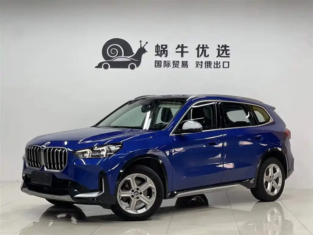 BMW X1 — фото 1