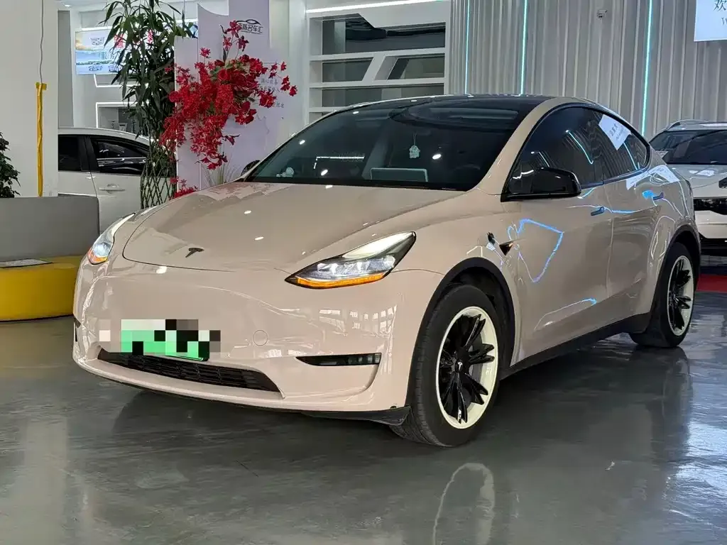 Tesla Model Y — фото 1