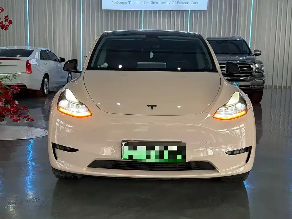 Tesla Model Y — фото 2