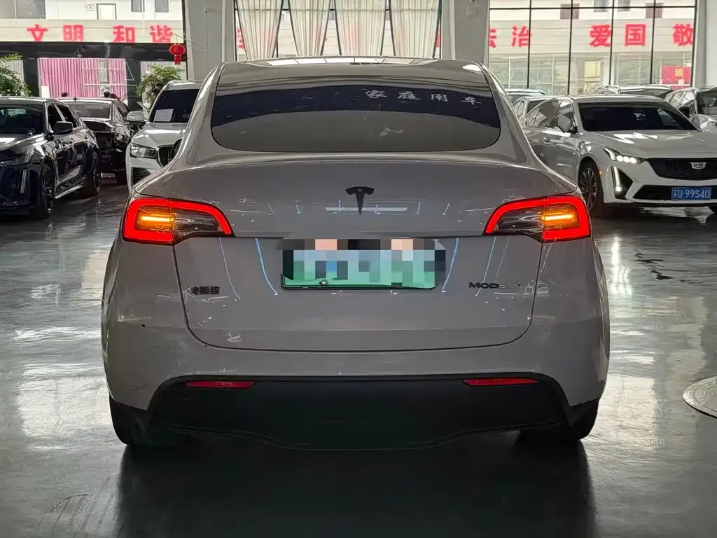 Tesla Model Y — фото 3