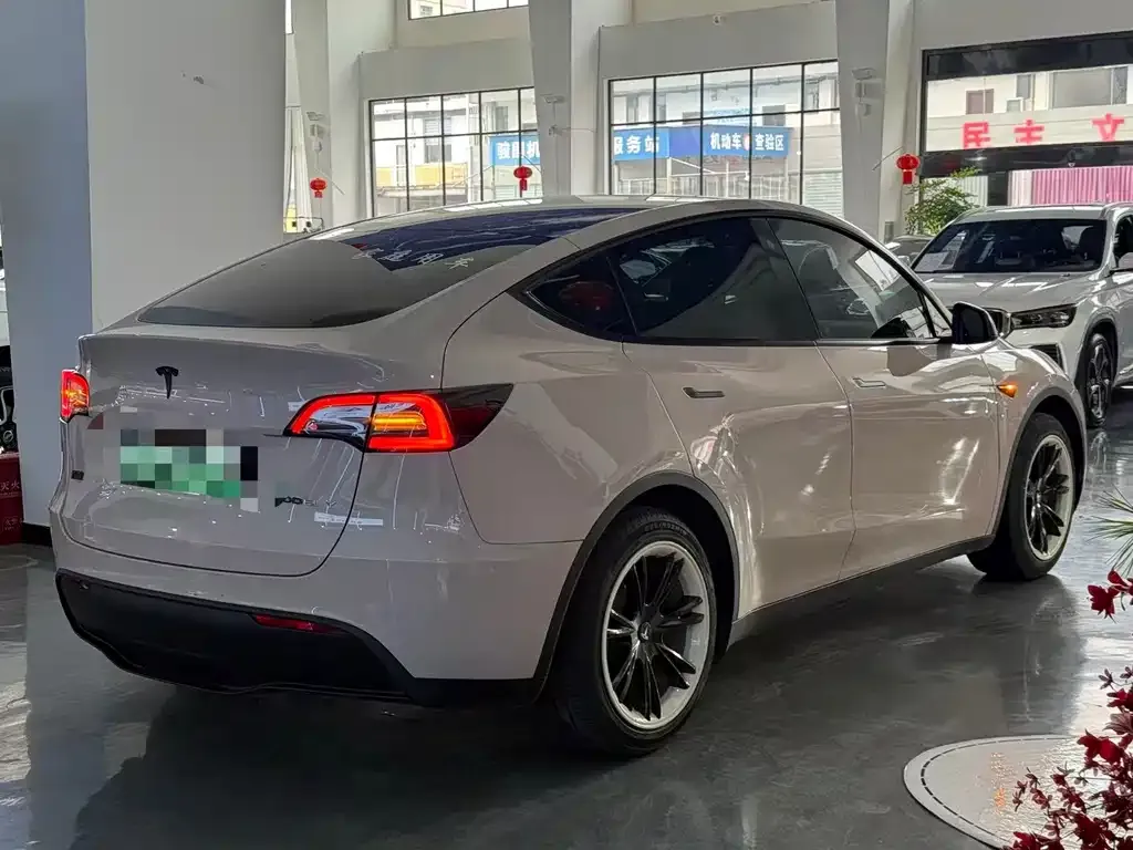 Tesla Model Y — фото 6