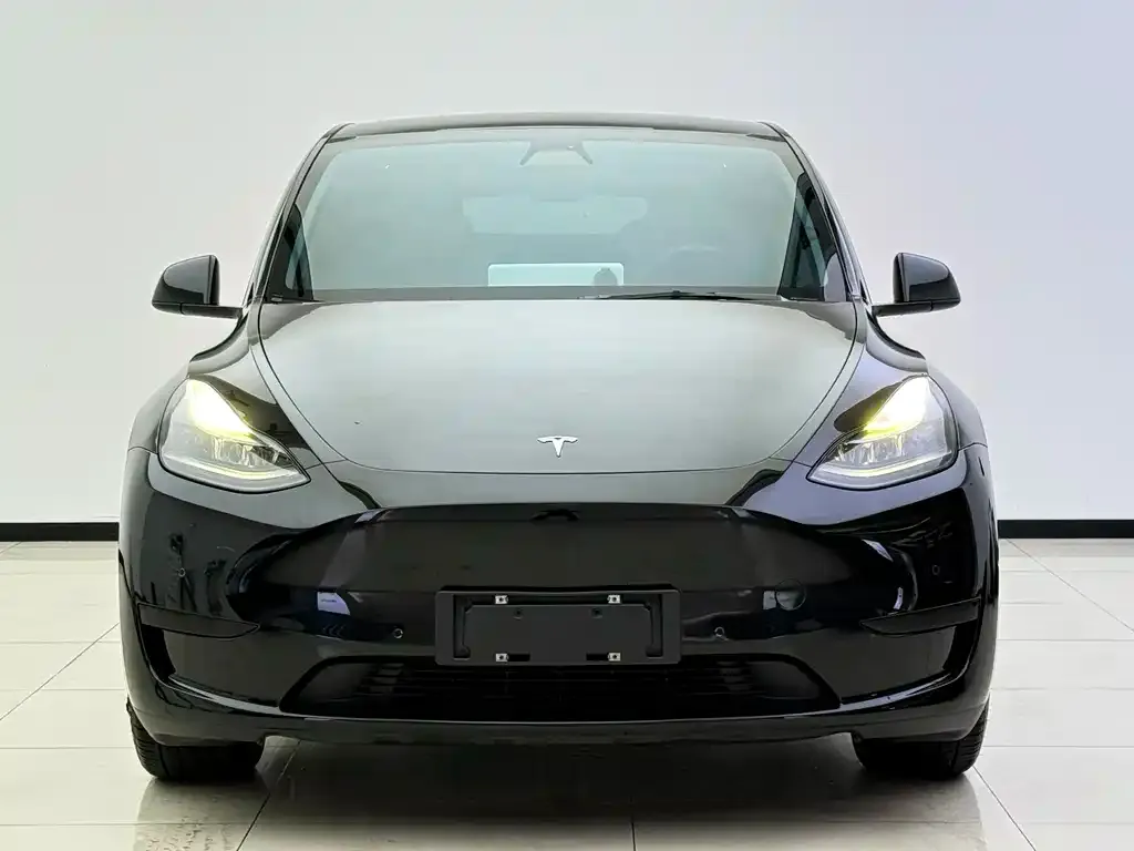 Tesla Model Y — фото 5