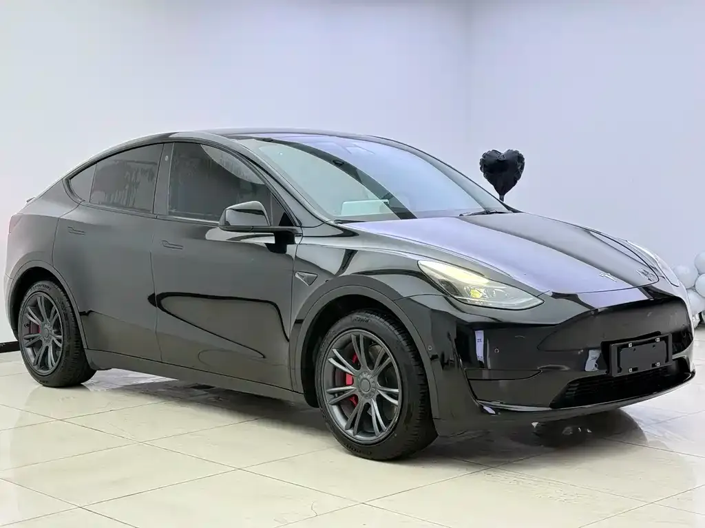 Tesla Model Y — фото 8