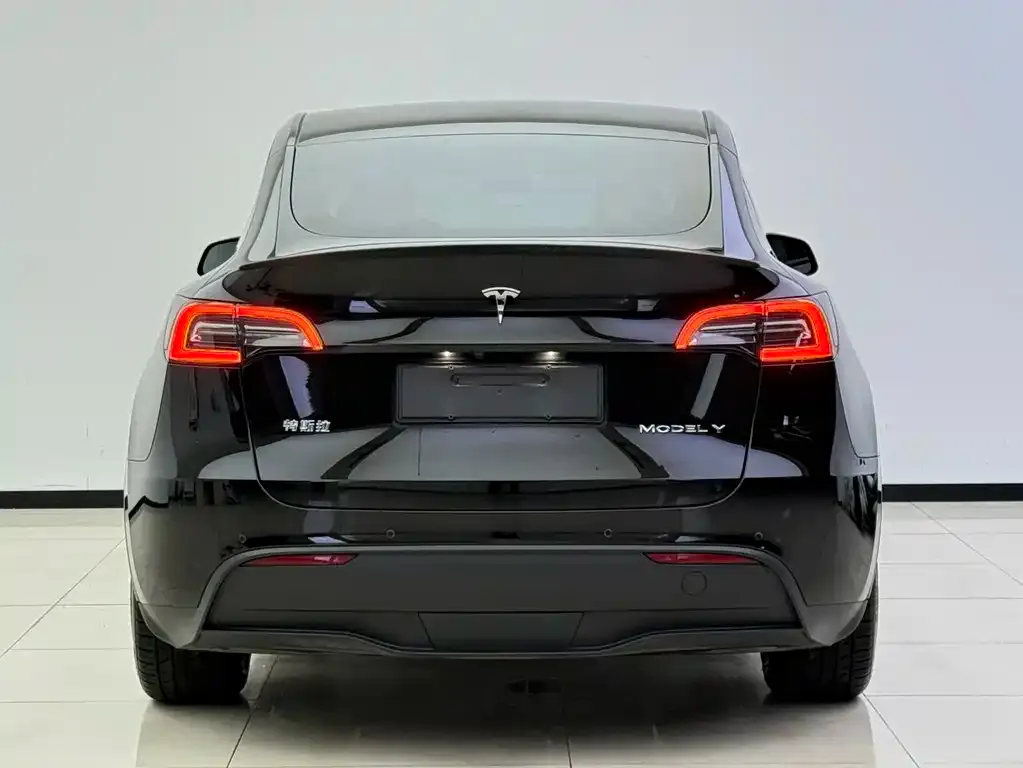 Tesla Model Y — фото 10