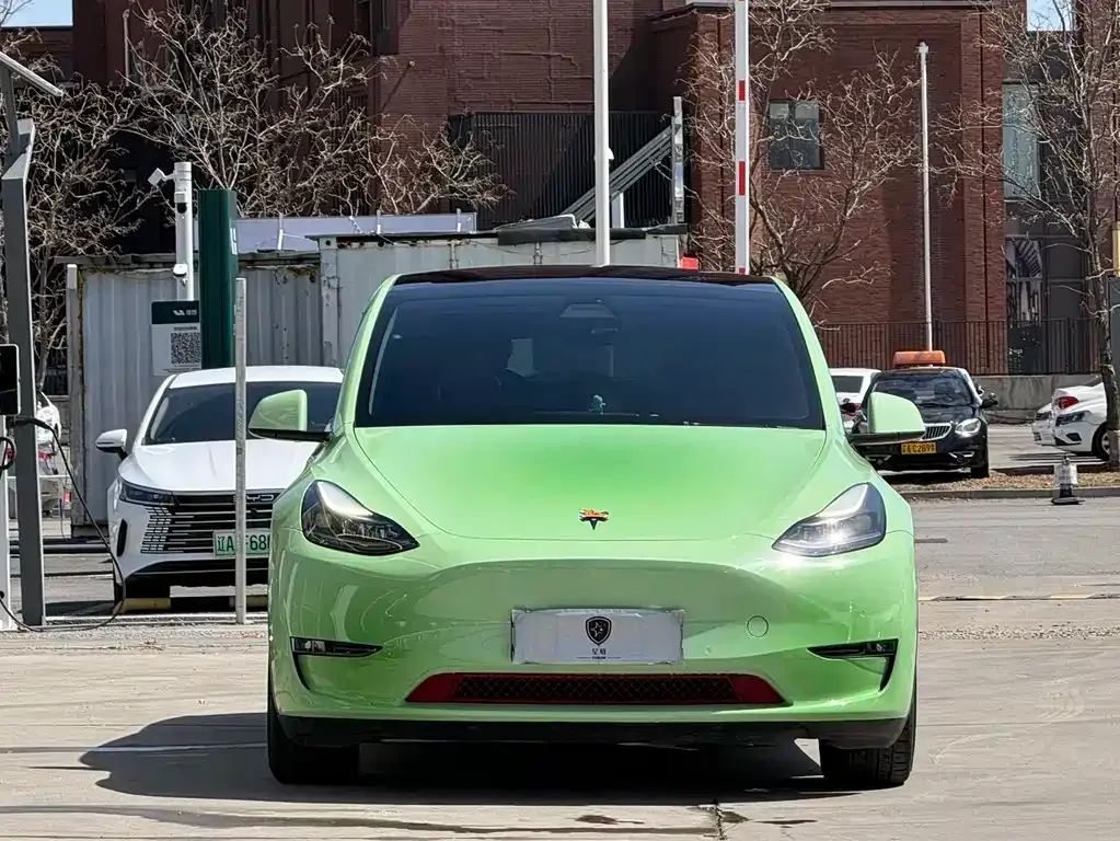 Tesla Model Y — фото 10