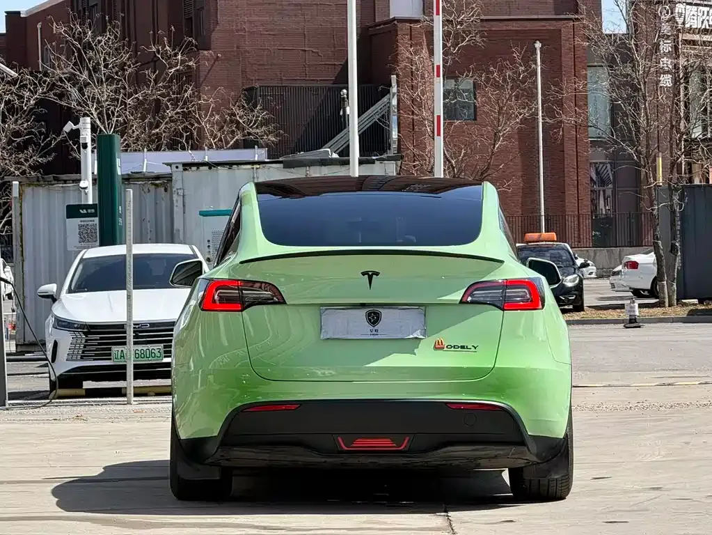 Tesla Model Y — фото 3