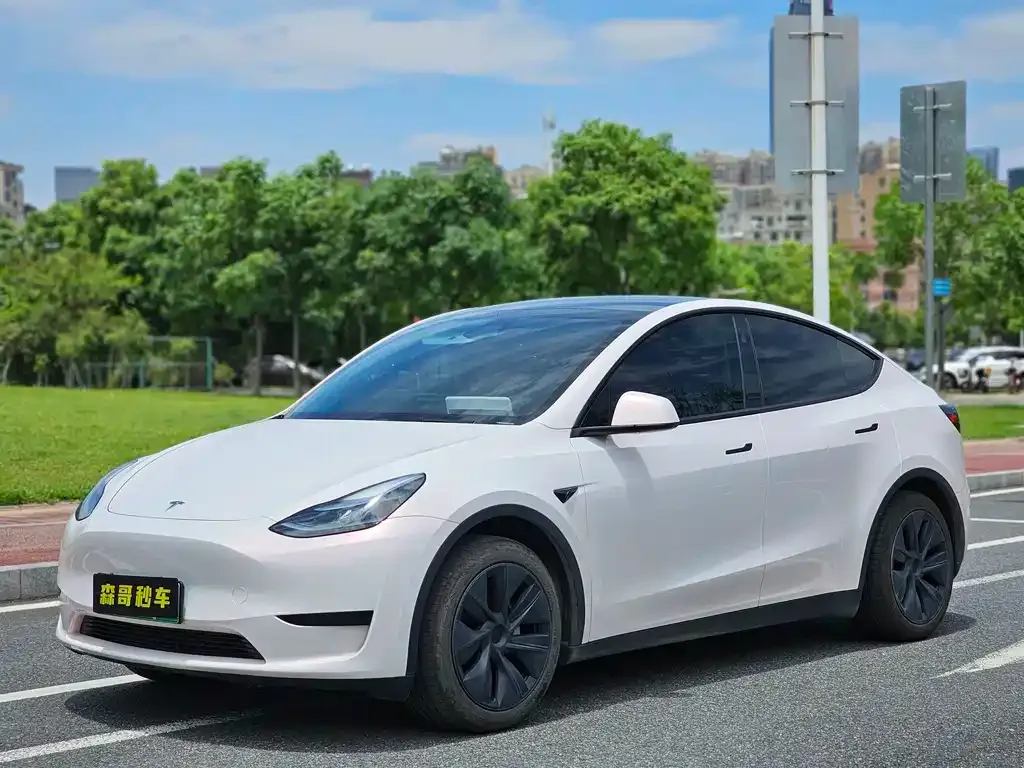 Tesla Model Y — фото 1