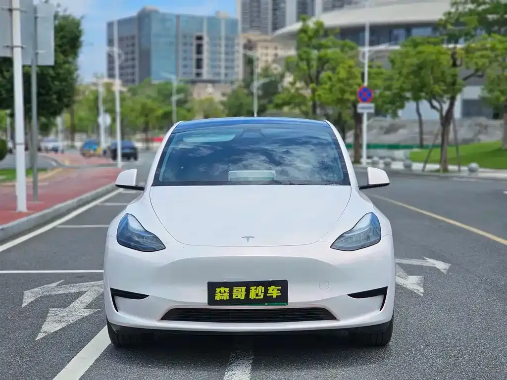 Tesla Model Y — фото 6