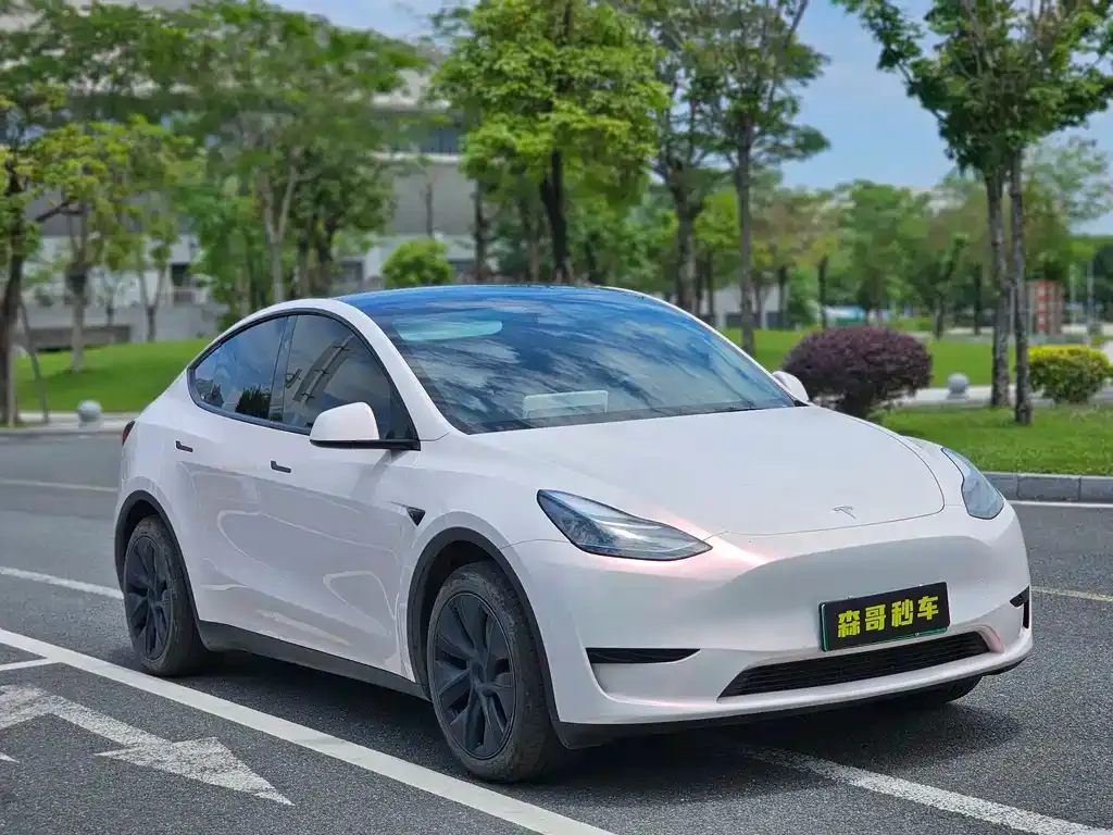 Tesla Model Y — фото 9