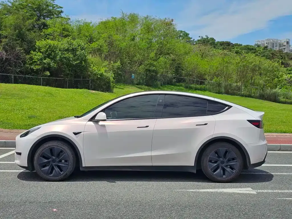 Tesla Model Y — фото 8