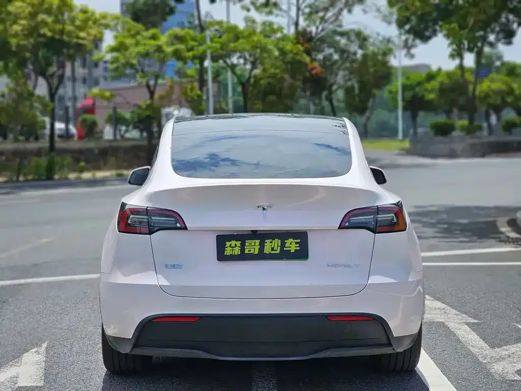 Tesla Model Y — фото 3