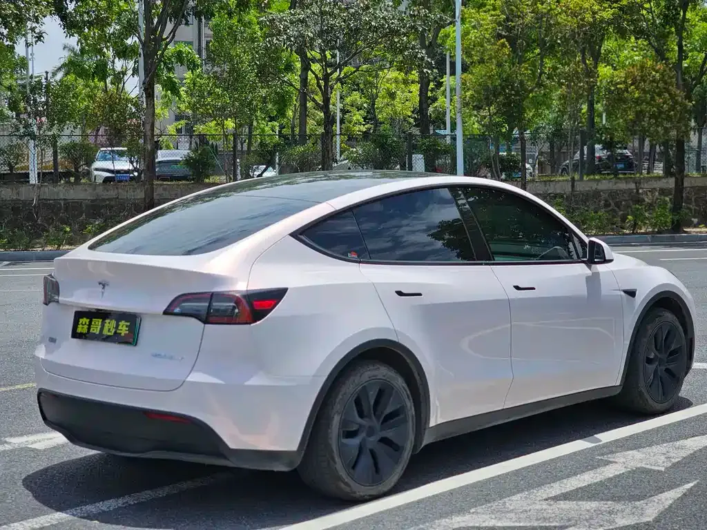 Tesla Model Y — фото 10