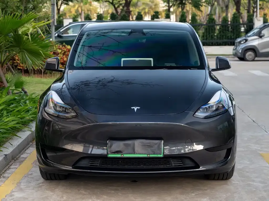 Tesla Model Y — фото 5